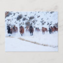 Suche nach shell postkarten Quarter horse