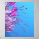 Recherche de flora poster Bleu