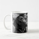 Recherche de labrador retriever photographie Noir
