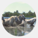 Recherche de galopant autocollants Poney