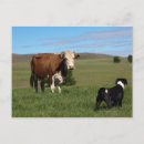 Suche nach verschieden postkarten Horizontal