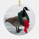 Suche nach gans ornamente Schnee