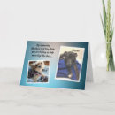 Suche nach marder Hund