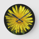 Suche nach dandelion wanduhren Blume