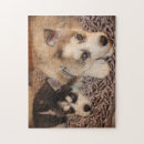 Recherche de chiens traîneau puzzles Enroué