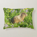 Recherche de marmottes coussins Faune