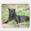 Suche nach schwarzer panther mousepads Wild