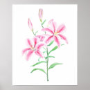 Suche nach lilien aquarell poster Frühlingsblumen
