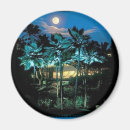 Suche nach maui magnete Sonnenuntergang