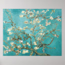 Suche nach mandelblüten poster Blau