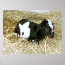 Suche nach bauernhof kinder poster Pferd