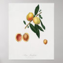 Suche nach antik poster Retro