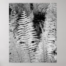 Suche nach conni poster Schwarz und weiß