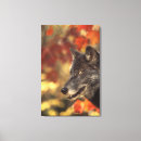 Suche nach wilder wolf leinwandbilder Vertikal
