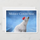 Suche nach saisongrüße karten Schnee