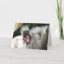 Suche nach küken spaß postkarten Vogelvogel