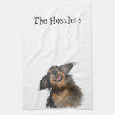 Recherche de petit chien cuisine linges Doxie