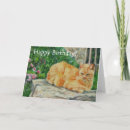 Recherche de table anniversaire cartes Animal