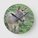 Recherche de ânes horloges Animal