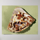 Suche nach lanze poster Stange