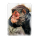 Recherche de araignée maison deco Animaux