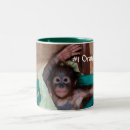 Recherche de orangutan tasses Singe