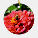 Suche nach biene ornamente Gärtner