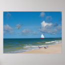Recherche de stern posters Plage