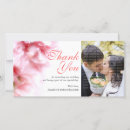 Suche nach carnation karten Rosa