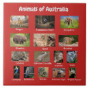 Recherche de australie carreaux Animal