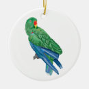 Recherche de perroquet bleu ornements Vert