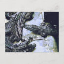 Recherche de de crocodile cartes postales Effrayant
