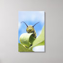 Suche nach pretty butterfly poster Animal