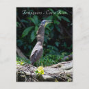 Suche nach heldin postkarten Tier