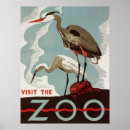 Suche nach zoos poster Vögel