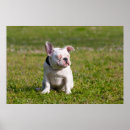 Suche nach französische poster Weiß