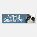 Suche nach schwarze katze autoaufkleber Haustier