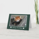 Recherche de panda rouge vœux cartes Zoo