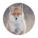 Suche nach fuchs schneidebrettchen Schnee
