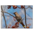 Recherche de faune planches à découper Oiseau