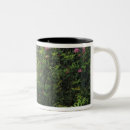 Recherche de écorce tasses Rose