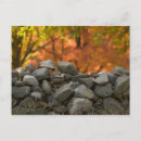 Recherche de pierre cartes postales Automne