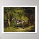 Suche nach stubbs poster Leinwand