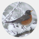 Recherche de robin bird autocollants Nature