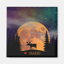 Suche nach nordlichter magnete Tiere