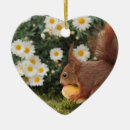 Suche nach gänseblümchen ornamente Natur