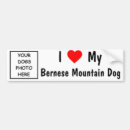 Recherche de bernese voiture autocollants Montagne