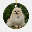 Suche nach keuchen ornamente Loulou