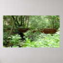 Suche nach muir kunst Landschaft