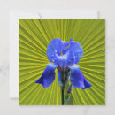 Recherche de iris vœux cartes Botanique